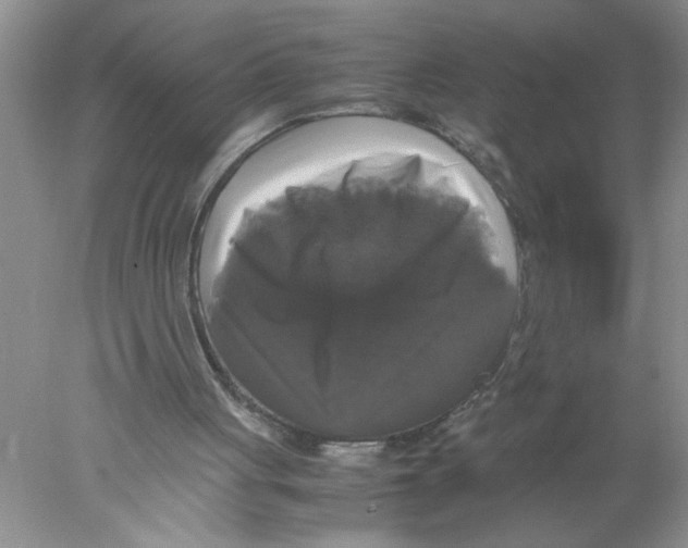 X0000078020051200611251540