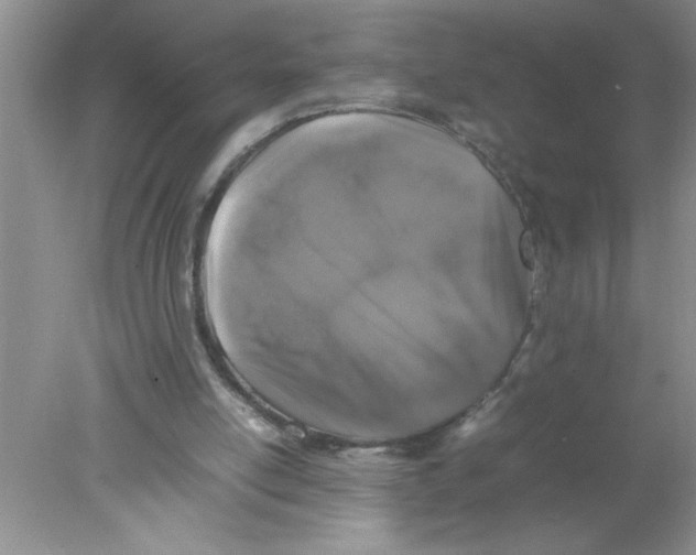 X0000078020054200611251540