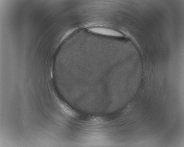 X0000078020062200611251540