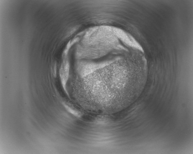 X0000078020076200611251540