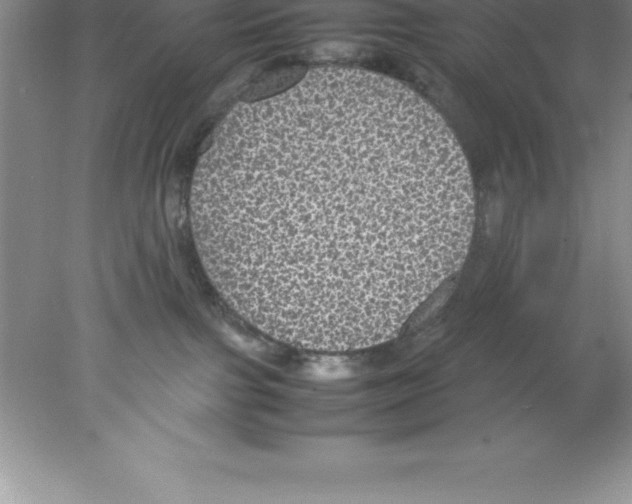 X0000078020091200611251541