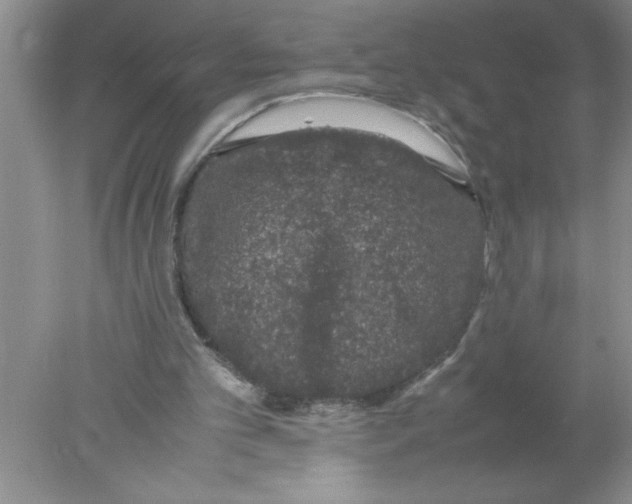 X0000078020101200611251540