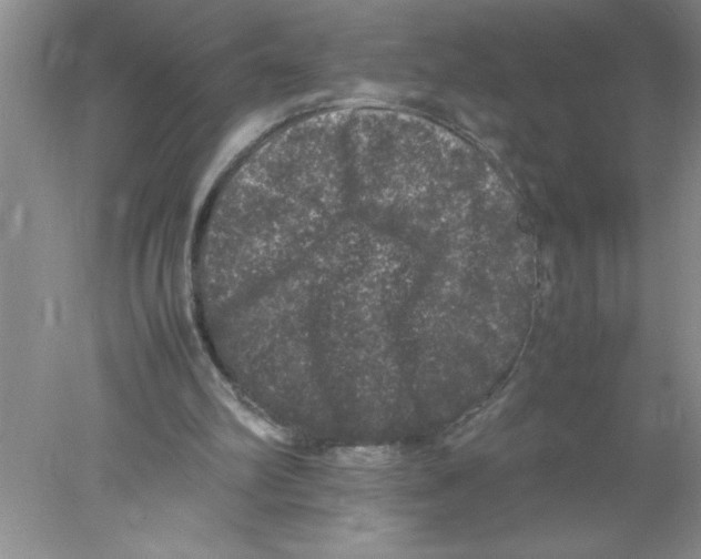 X0000078020102200611251540