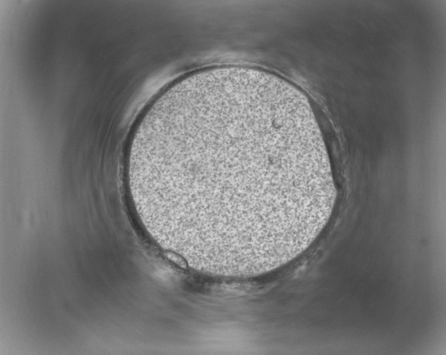 X0000078020103200611251540