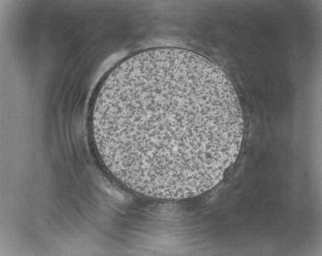 X0000078020104200611251540