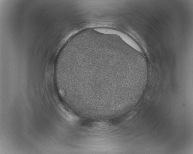 X0000078020107200611251540