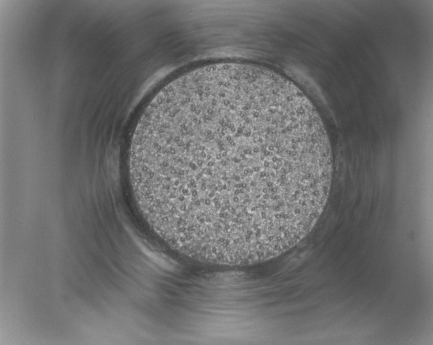 X0000078020108200611251540