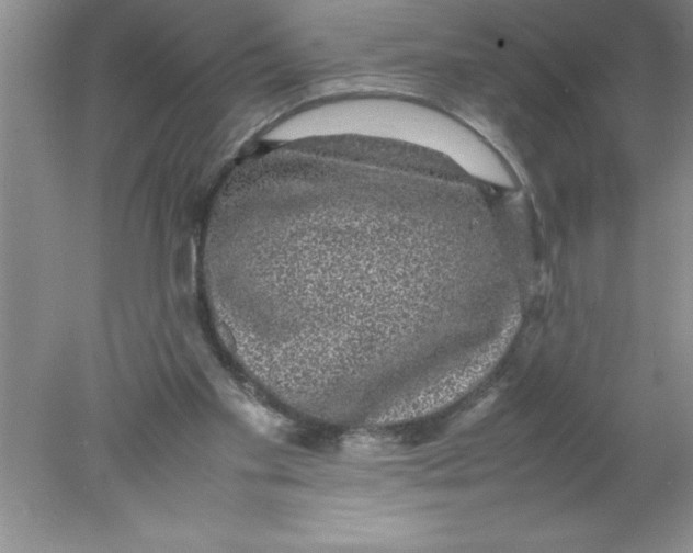 X0000078020109200611251540