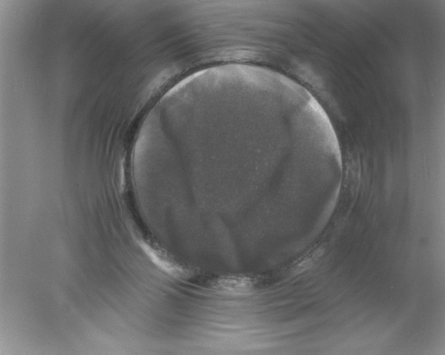X0000078020110200611251540