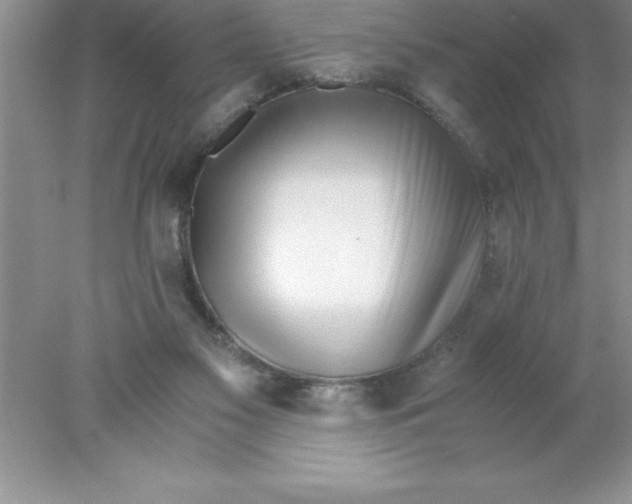 X0000078020117200611251540