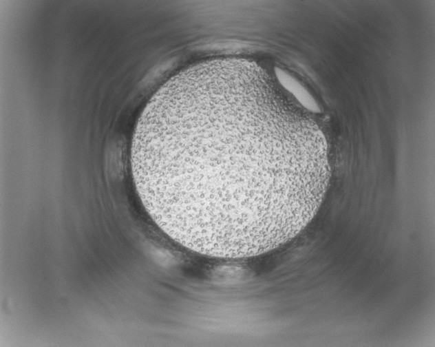 X0000078020119200611251540