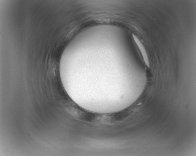 X0000078020125200611251539