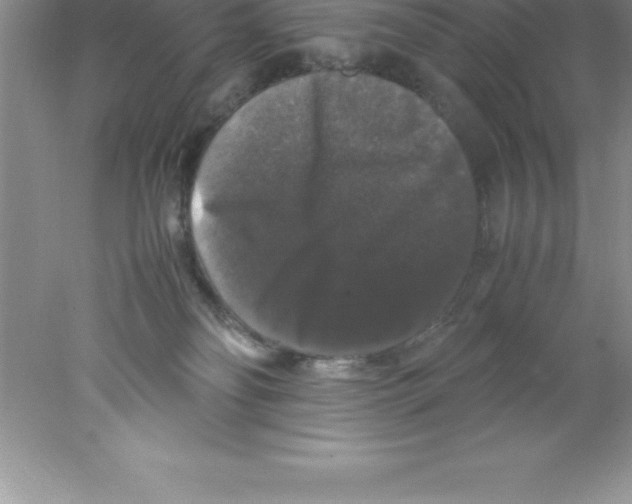 X0000078020134200611251539