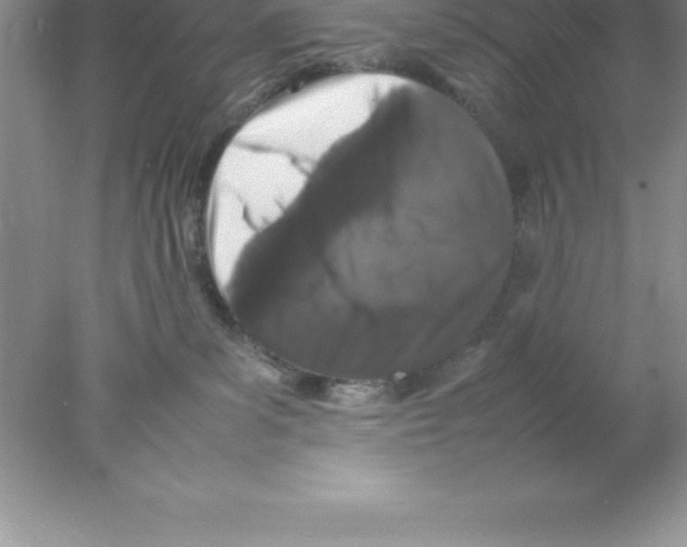 X0000078020139200611251539