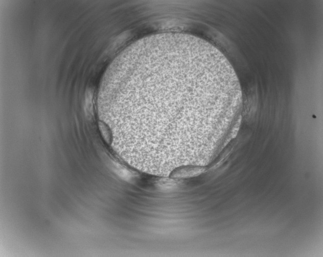 X0000078020142200611251539