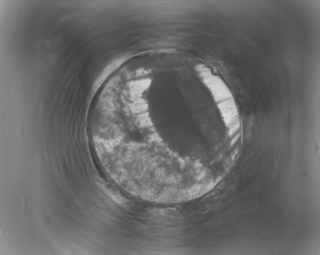 X0000078020147200611251538