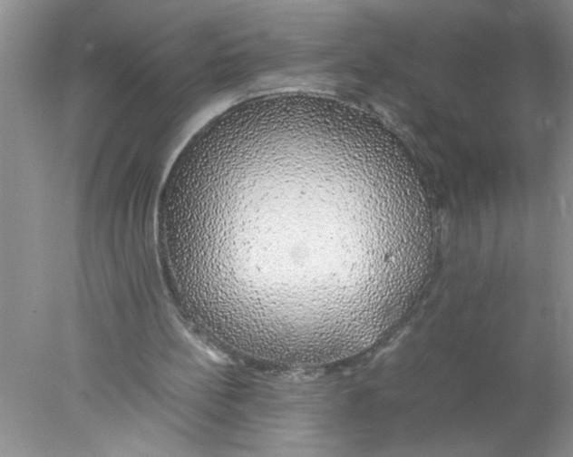 X0000078020148200611251538