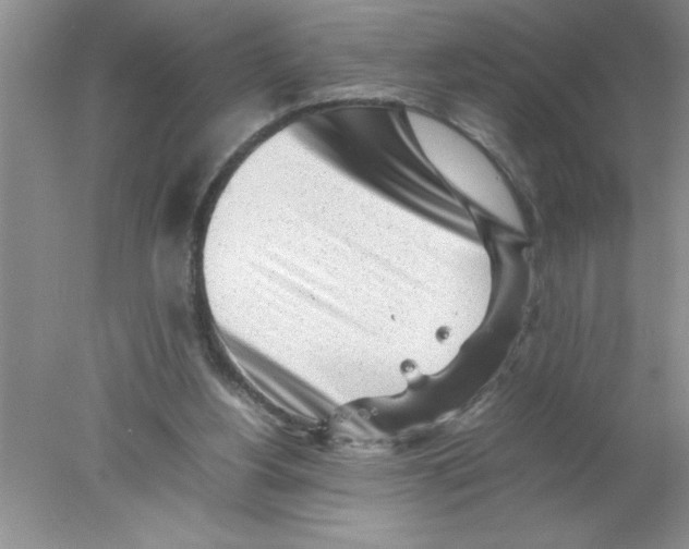 X0000078020156200611251539