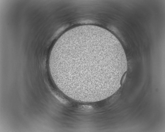 X0000078020159200611251539