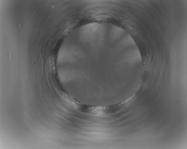 X0000078020182200611251539