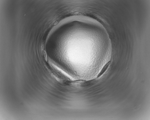 X0000078020192200611251539
