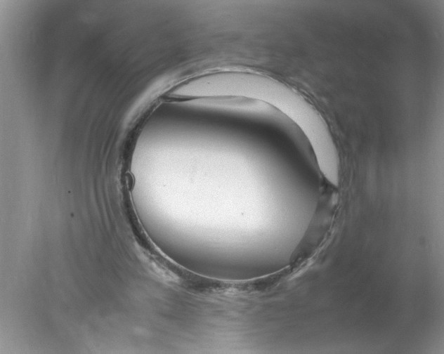 X0000078020197200611251538