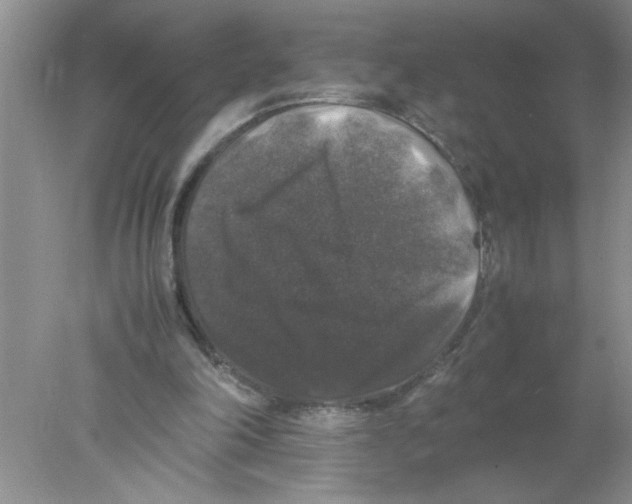 X0000078020198200611251538
