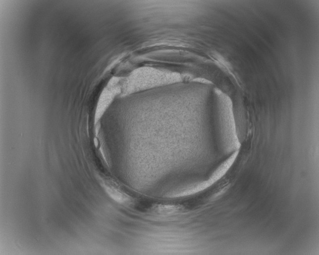 X0000078020205200611251538