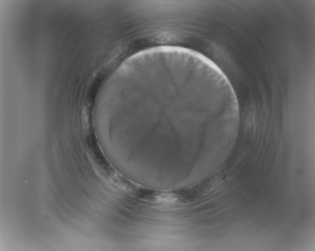 X0000078020214200611251538