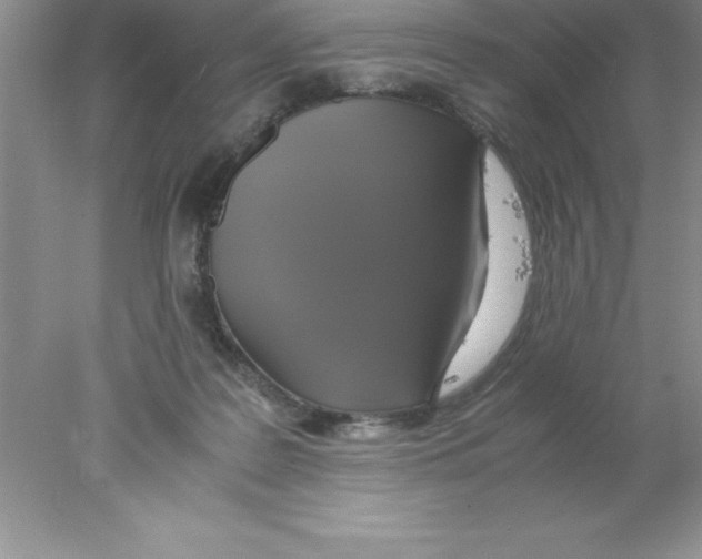 X0000078020219200611251538