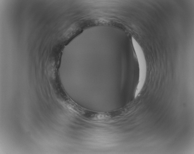 X0000078020223200611251538