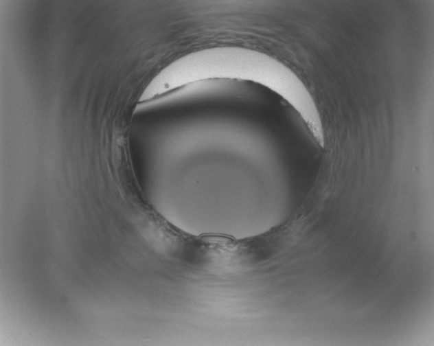 X0000078020235200611251538