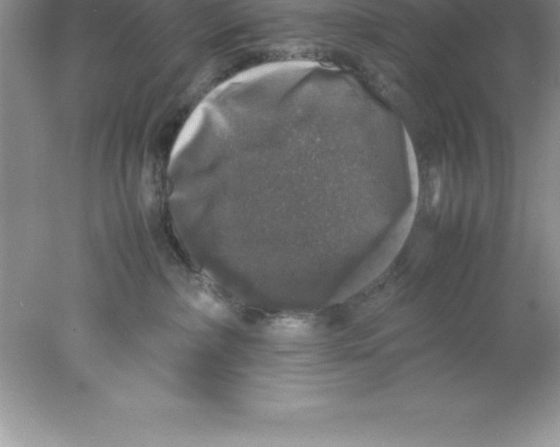 X0000078020236200611251538