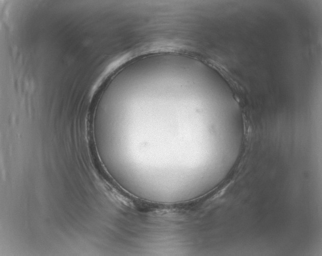 X0000078020244200611251537