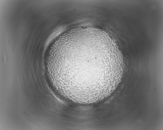 X0000078020245200611251537