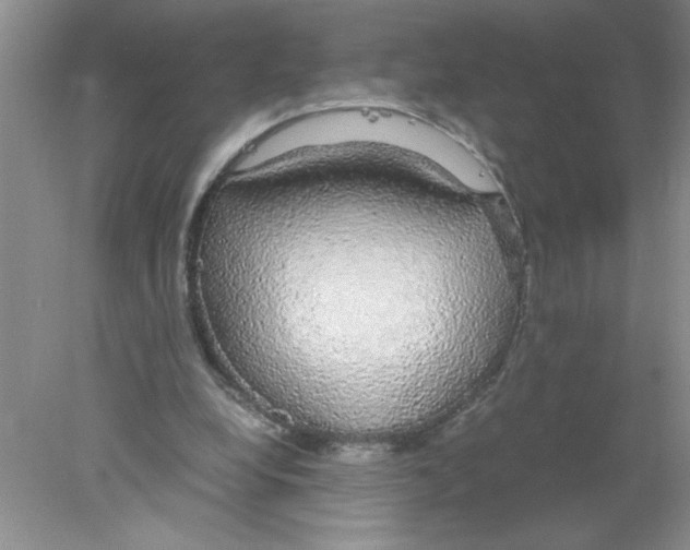 X0000078020248200611251537