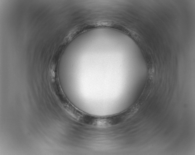 X0000078020264200611251537