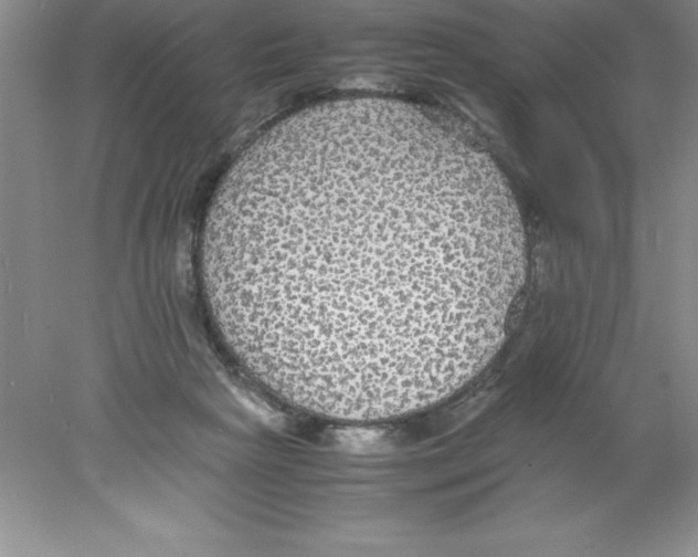 X0000078020265200611251537