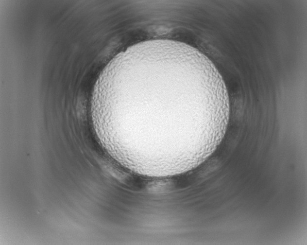 X0000078020274200611251537