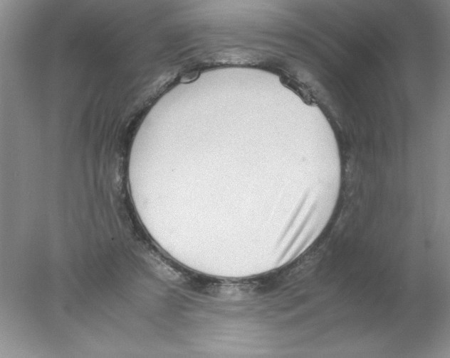 X0000078020305200611251536