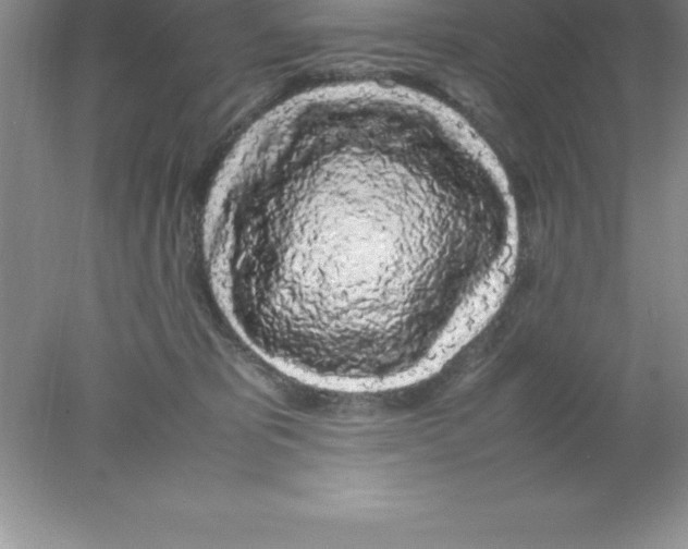 X0000078020325200611251536