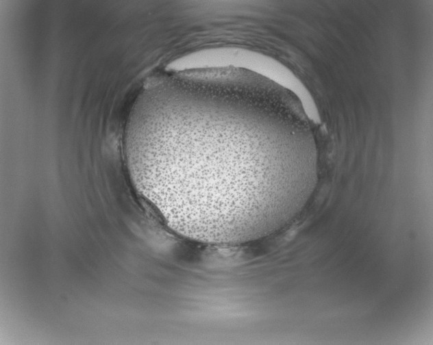 X0000078020329200611251536