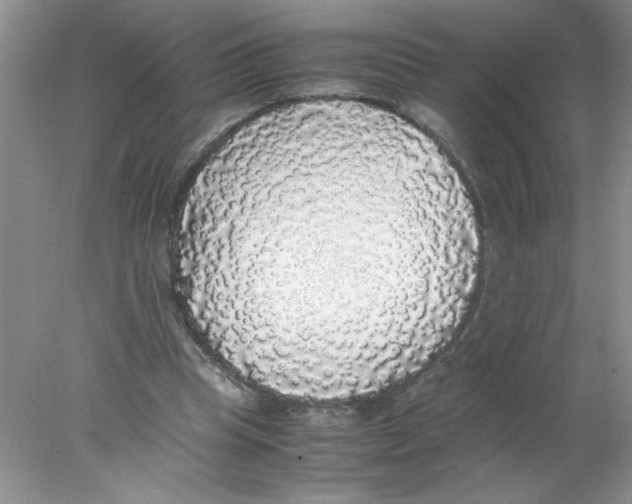 X0000078020345200611251535