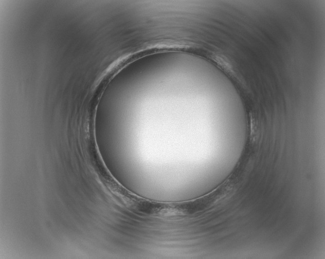 X0000078020348200611251535