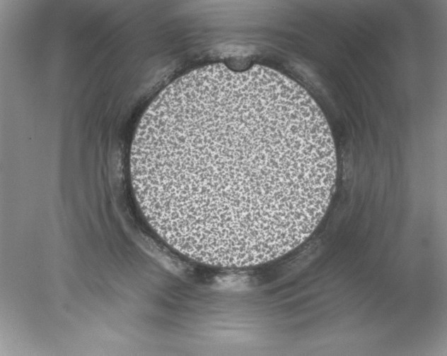 X0000078020362200611251536