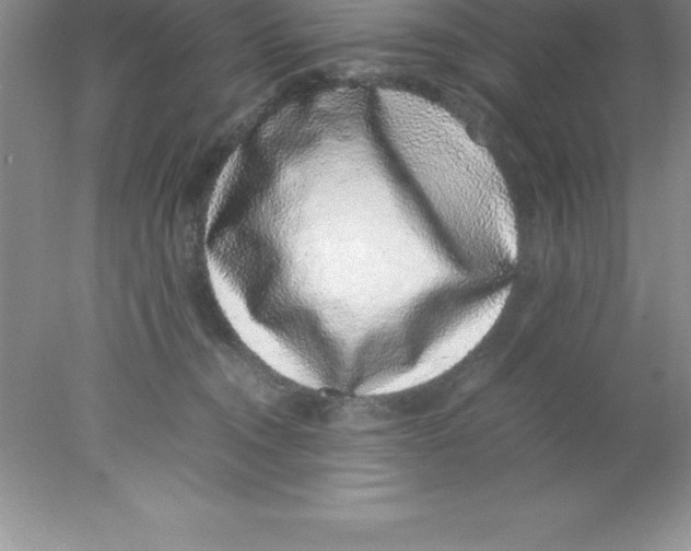 X0000078020372200611251536