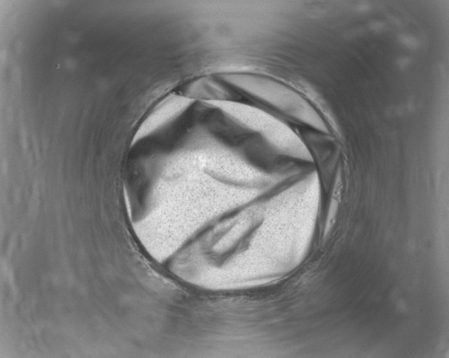 X0000078020385200611251535