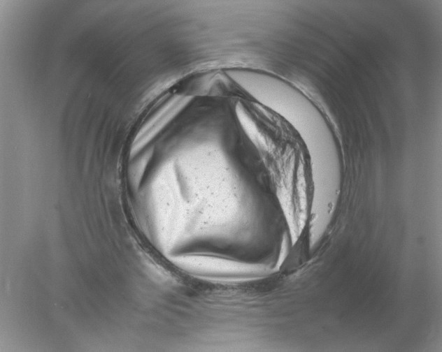 X0000078020389200611251535