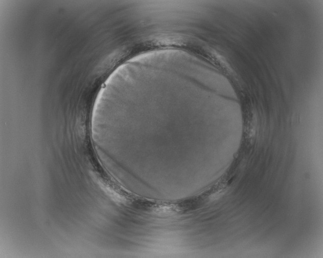 X0000078020402200611251535