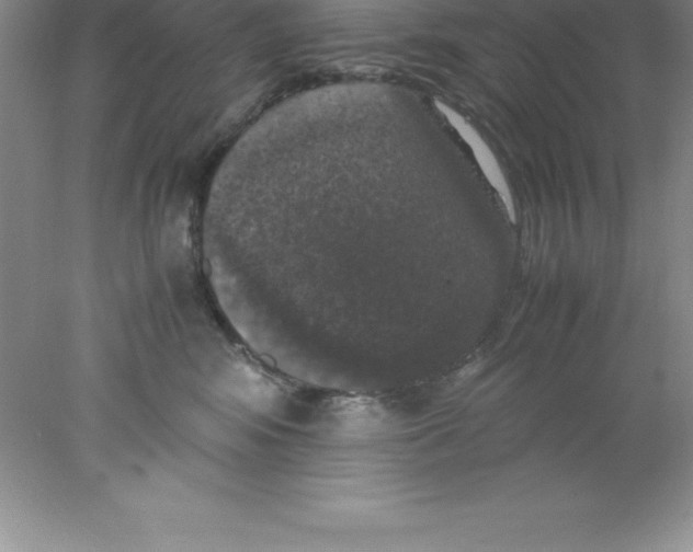 X0000078020424200611251534